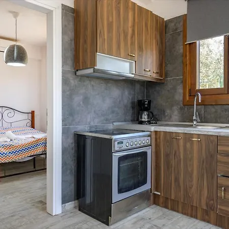 Danai House 3 Apartament Nea Roda